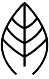 files/Realshield_1800_x_1000_px_1080_x_1440_px_1080_x_1080_px_3.png